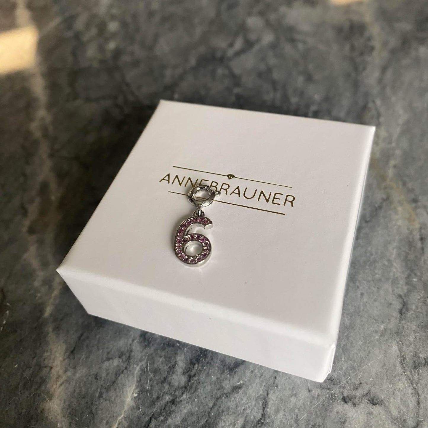 ANNEBRAUNER Number 6 Charm