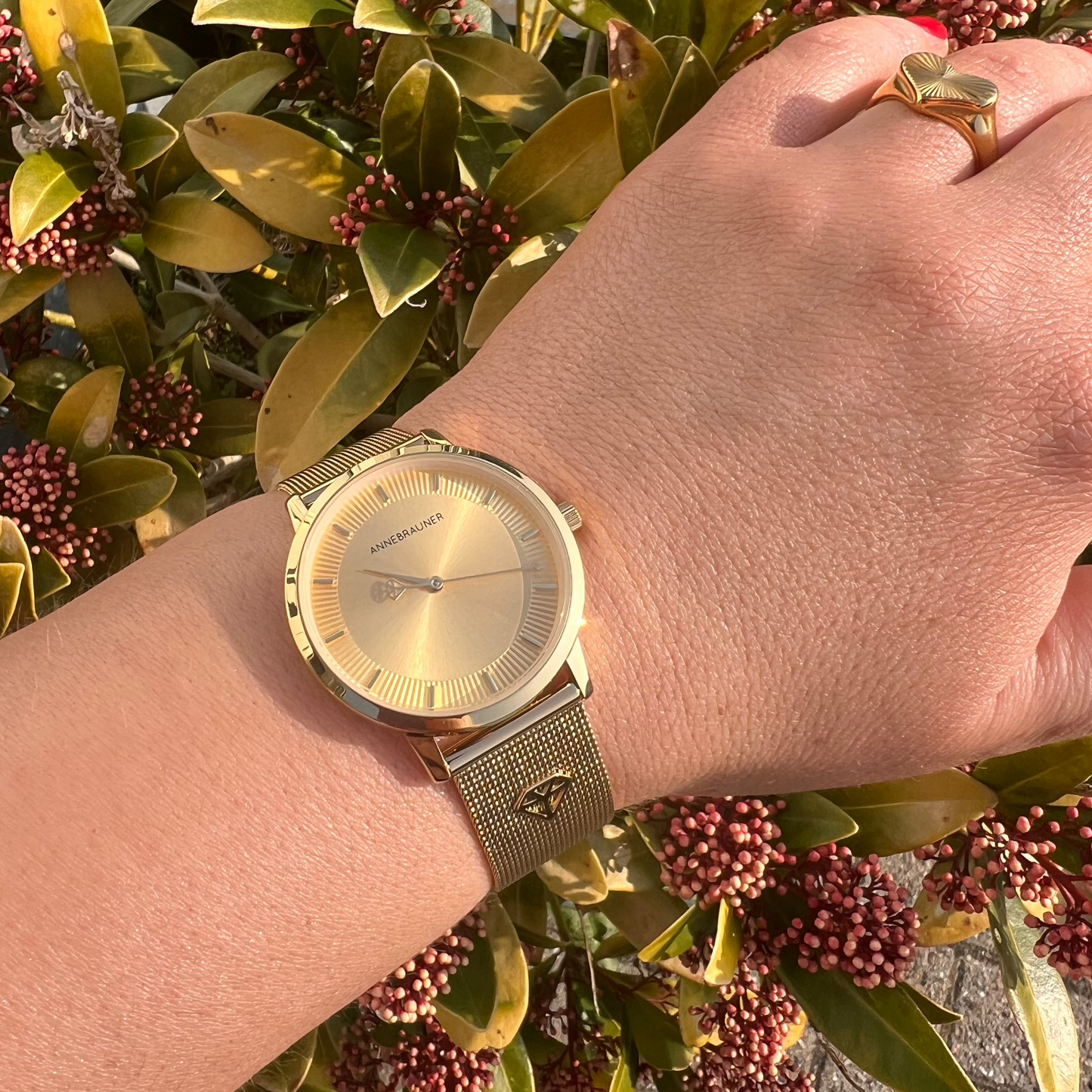ANNEBRAUNER Royal Signature Watch