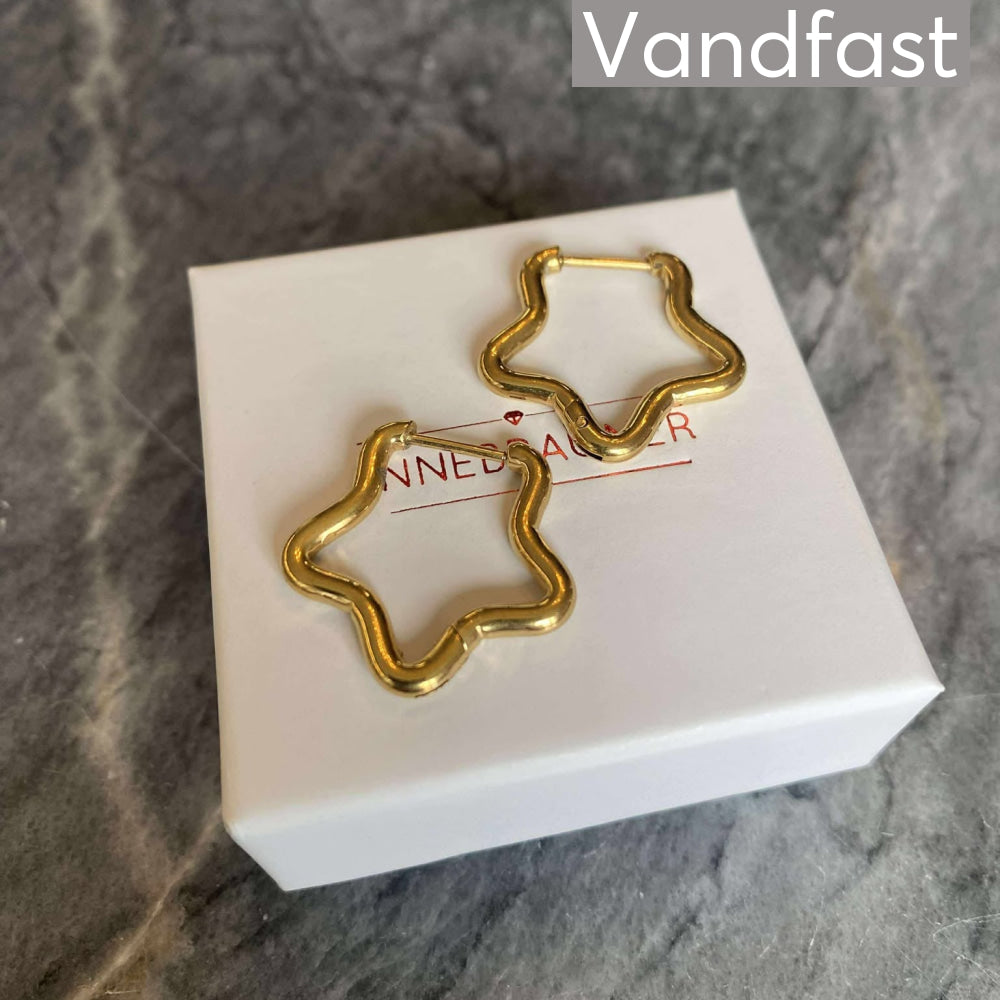 ANNEBRAUNER Creole Every Day Star