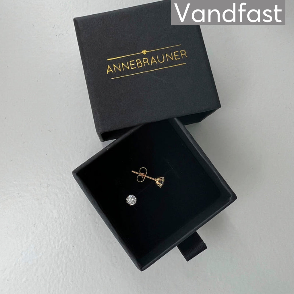 Annebrauner Princess 4Mm Earrings