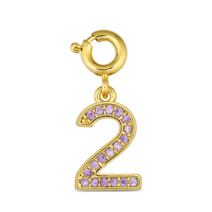 ANNEBRAUNER Number 2 Charm