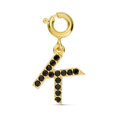 ANNEBRAUNER K Charm