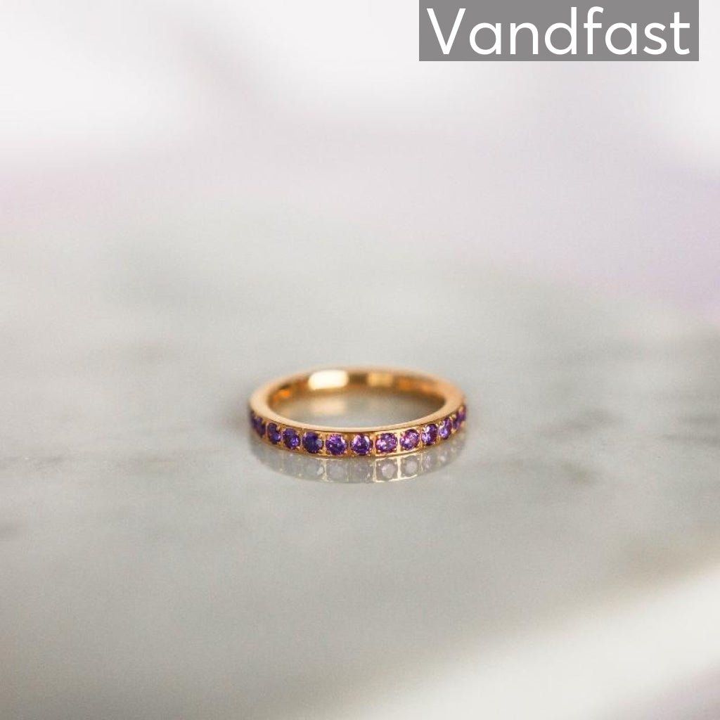 Annebrauner Alliance Purple