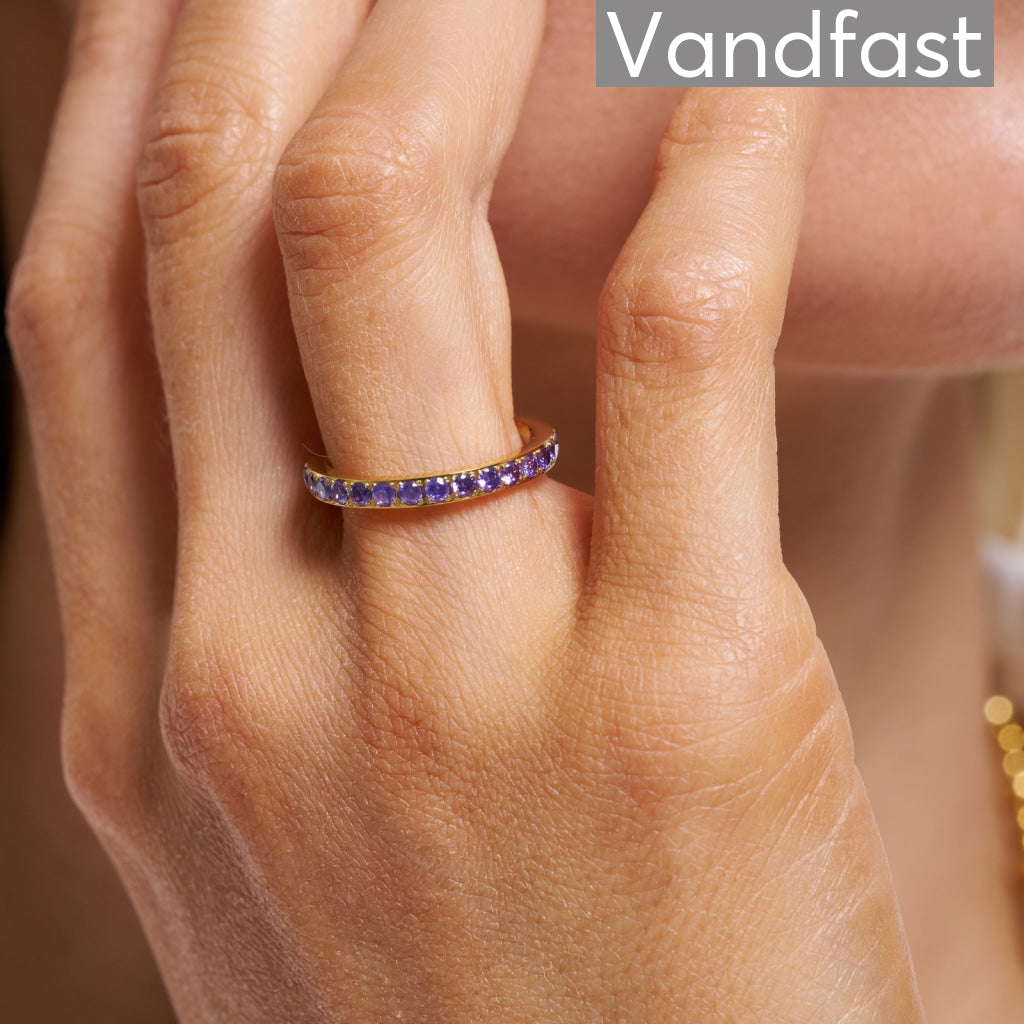 Annebrauner Alliance Purple