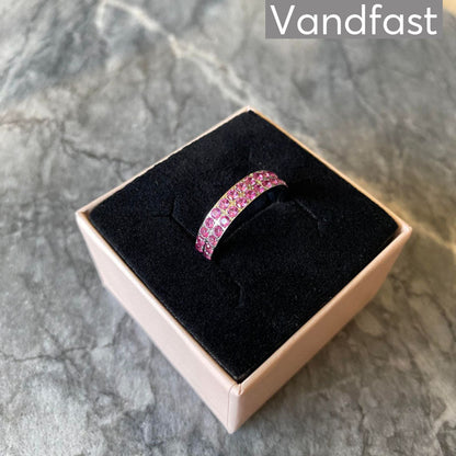 Annebrauner Alliance Rose