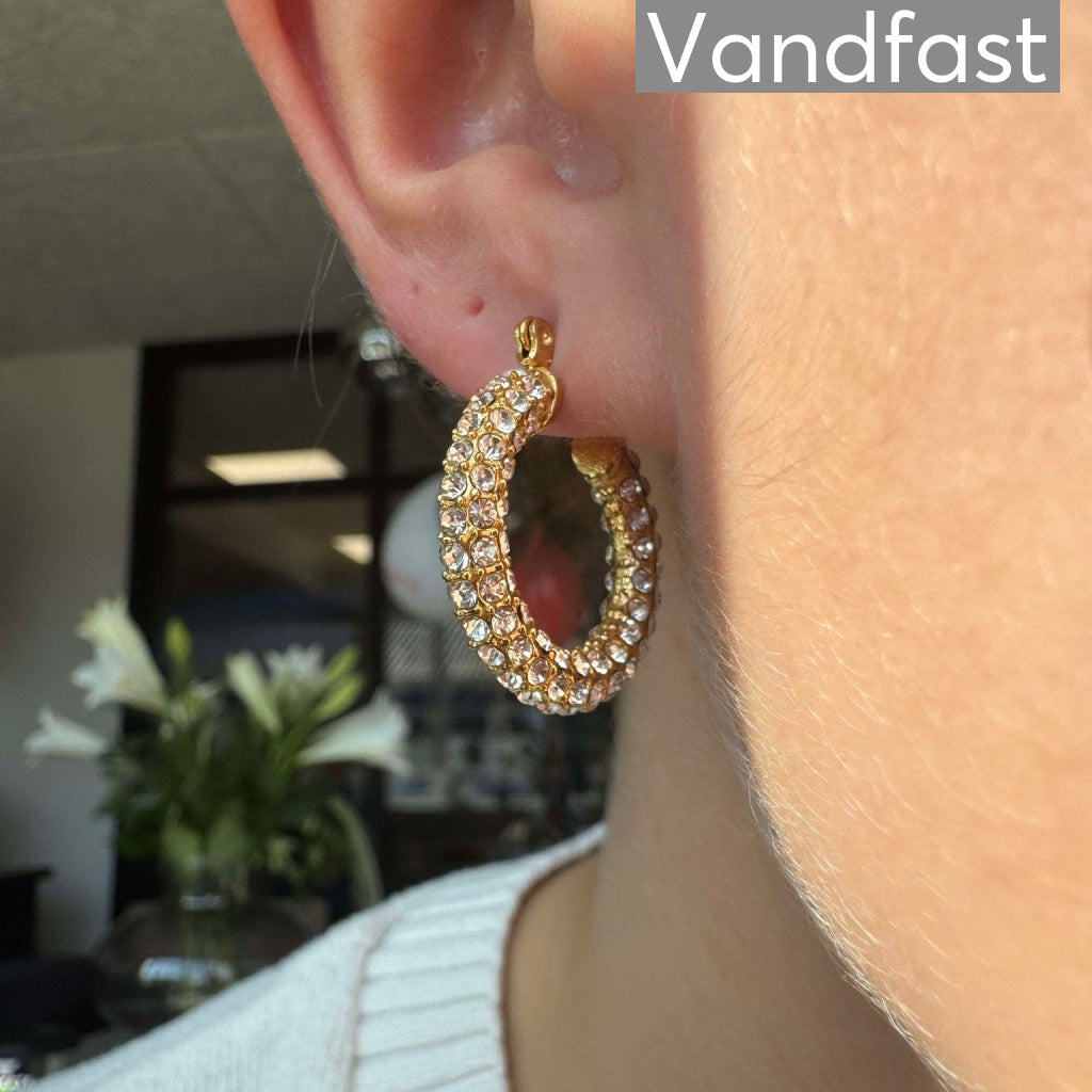 Annebrauner Big Sparkling Party Earrings