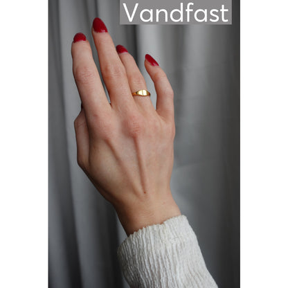 ANNEBRAUNER Classic Ring 18K Guldbelagt