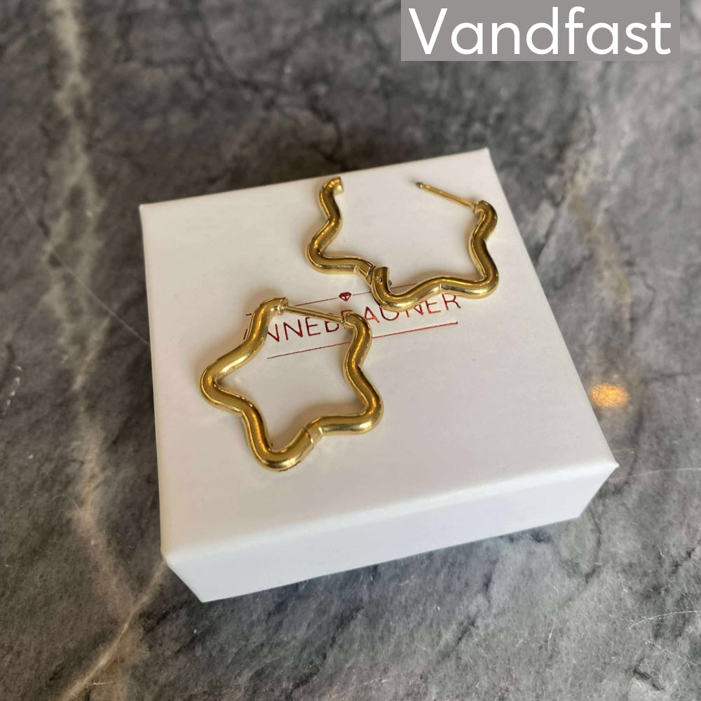 ANNEBRAUNER Creole Every Day Star