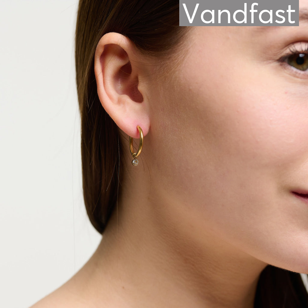 Annebrauner Creole Every Week