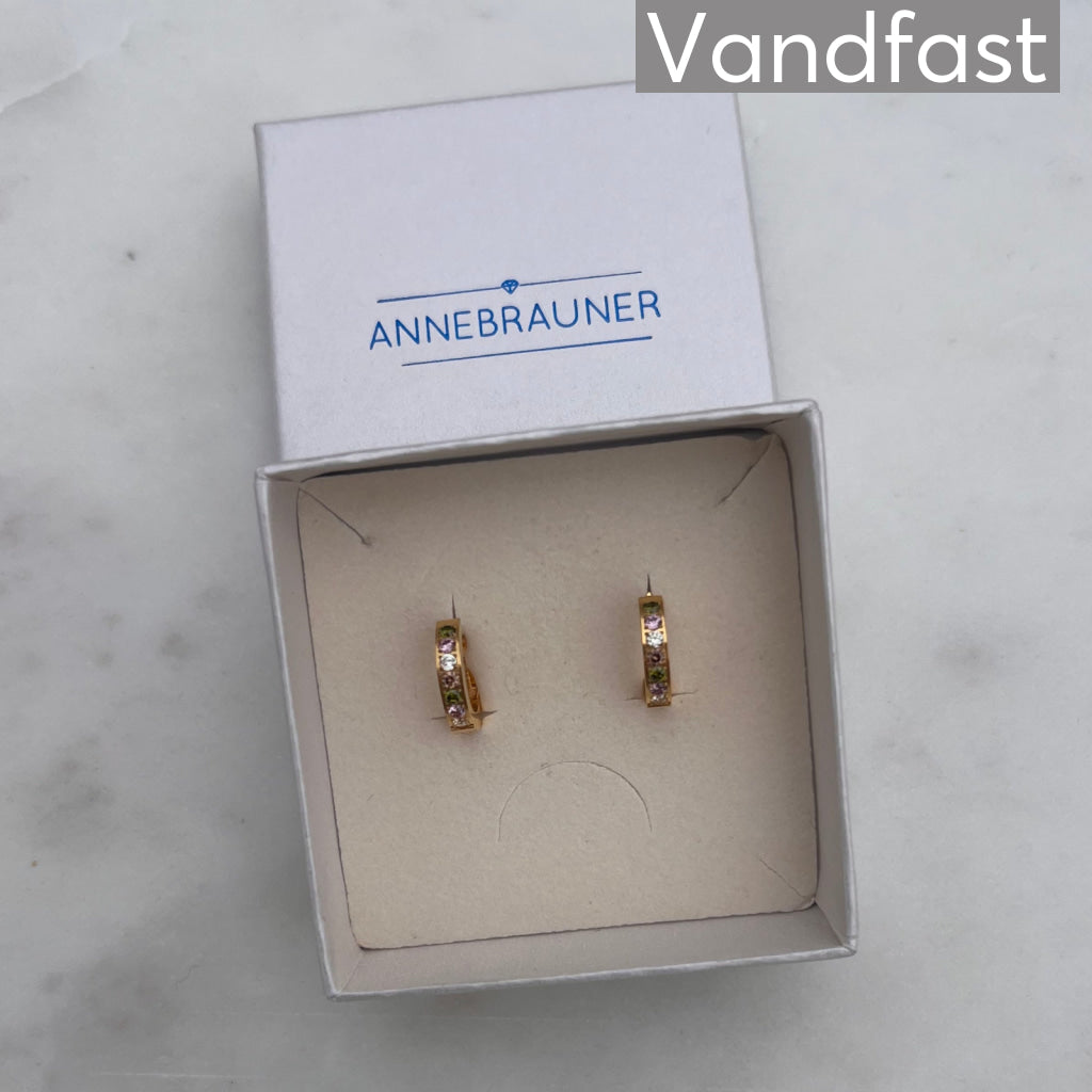 ANNEBRAUNER Creole Line Limited Edition 18K Guldbelagt - Ørering