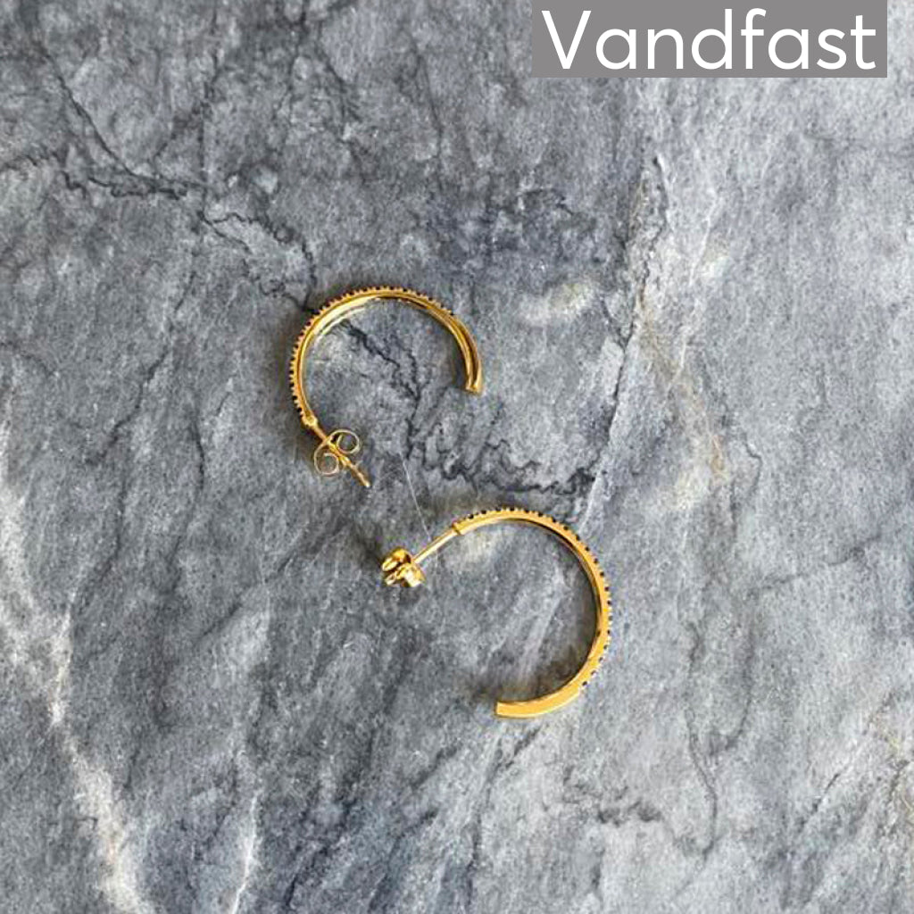 Annebrauner Creole Love