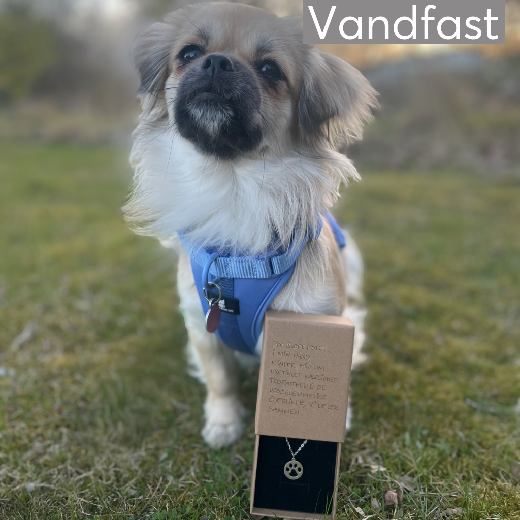 ANNEBRAUNER Din Bløde Pote Halskæde