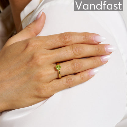 ANNEBRAUNER Princess D-Apple Ring 18K Guldbelagt