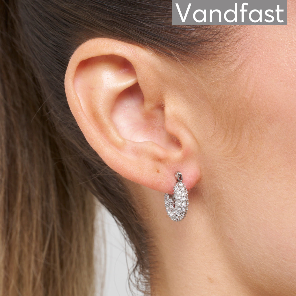 Annebrauner Sparkling Party Earrings