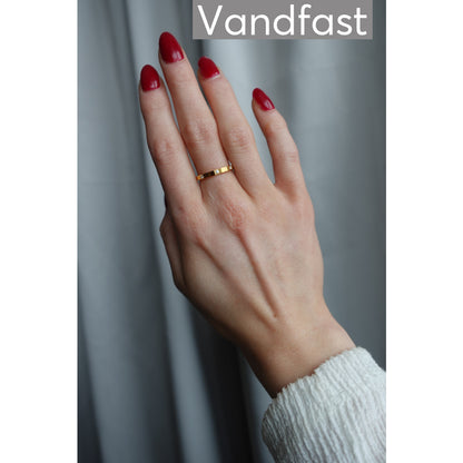 ANNEBRAUNER Third Time Ring 18K Guldbelagt