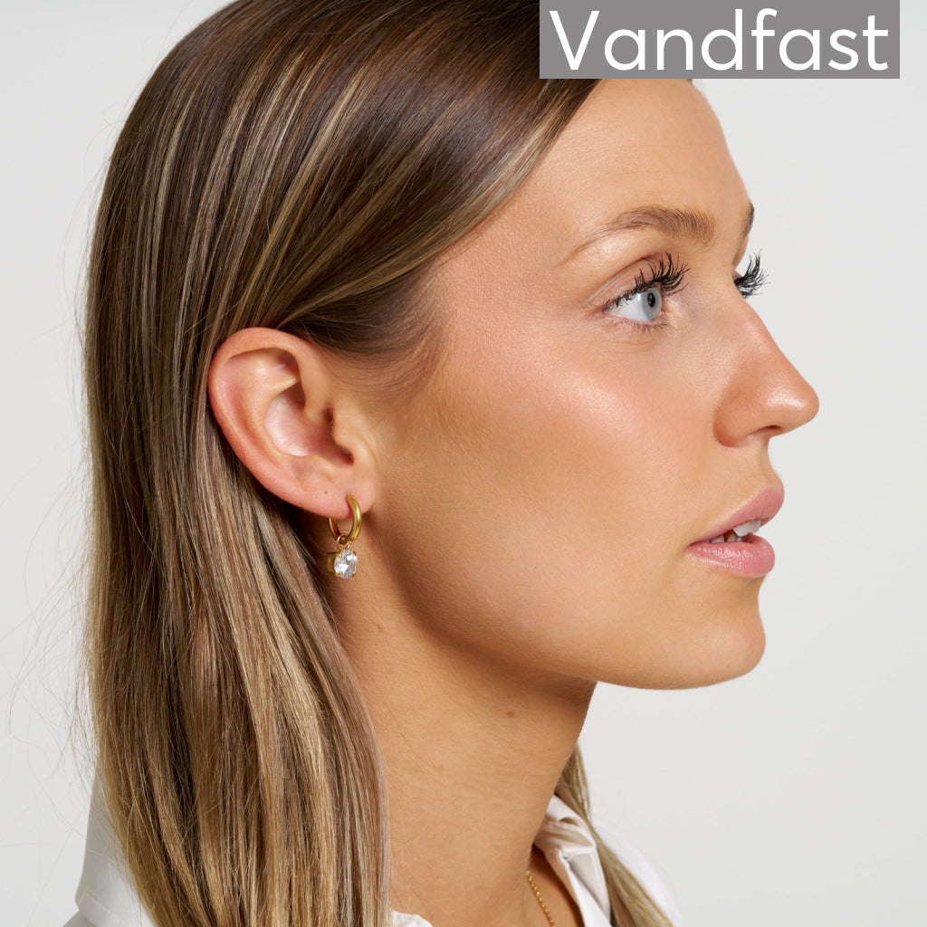 ANNEBRAUNER Zirconia Creole Øreringe 18K Guldbelagt