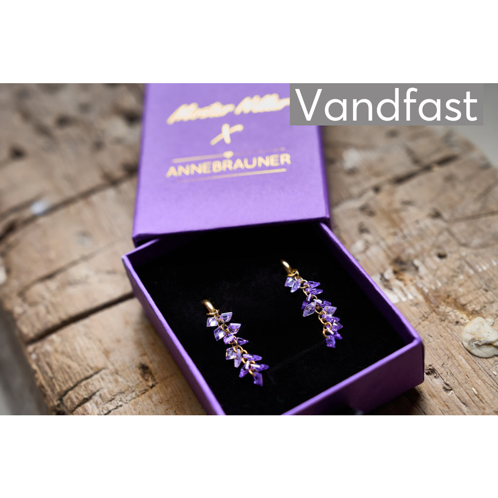 Moster Niller X Annebrauner Creole Klynge