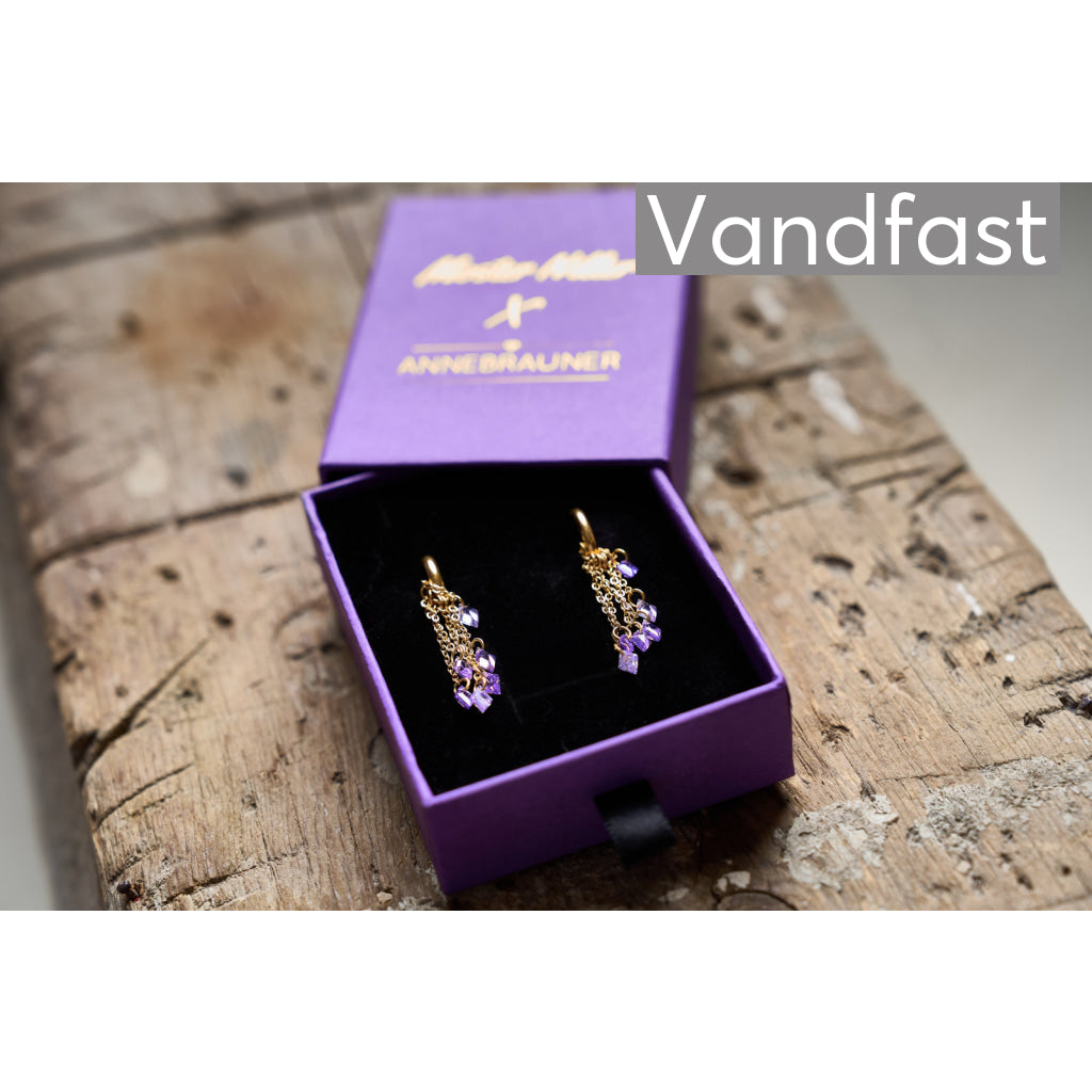 Moster Niller X Annebrauner Creole Monark