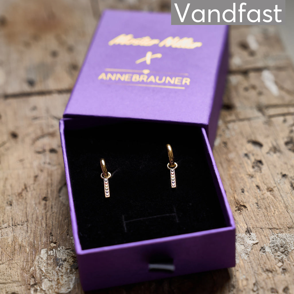 Moster Niller X Annebrauner Creole Secpter